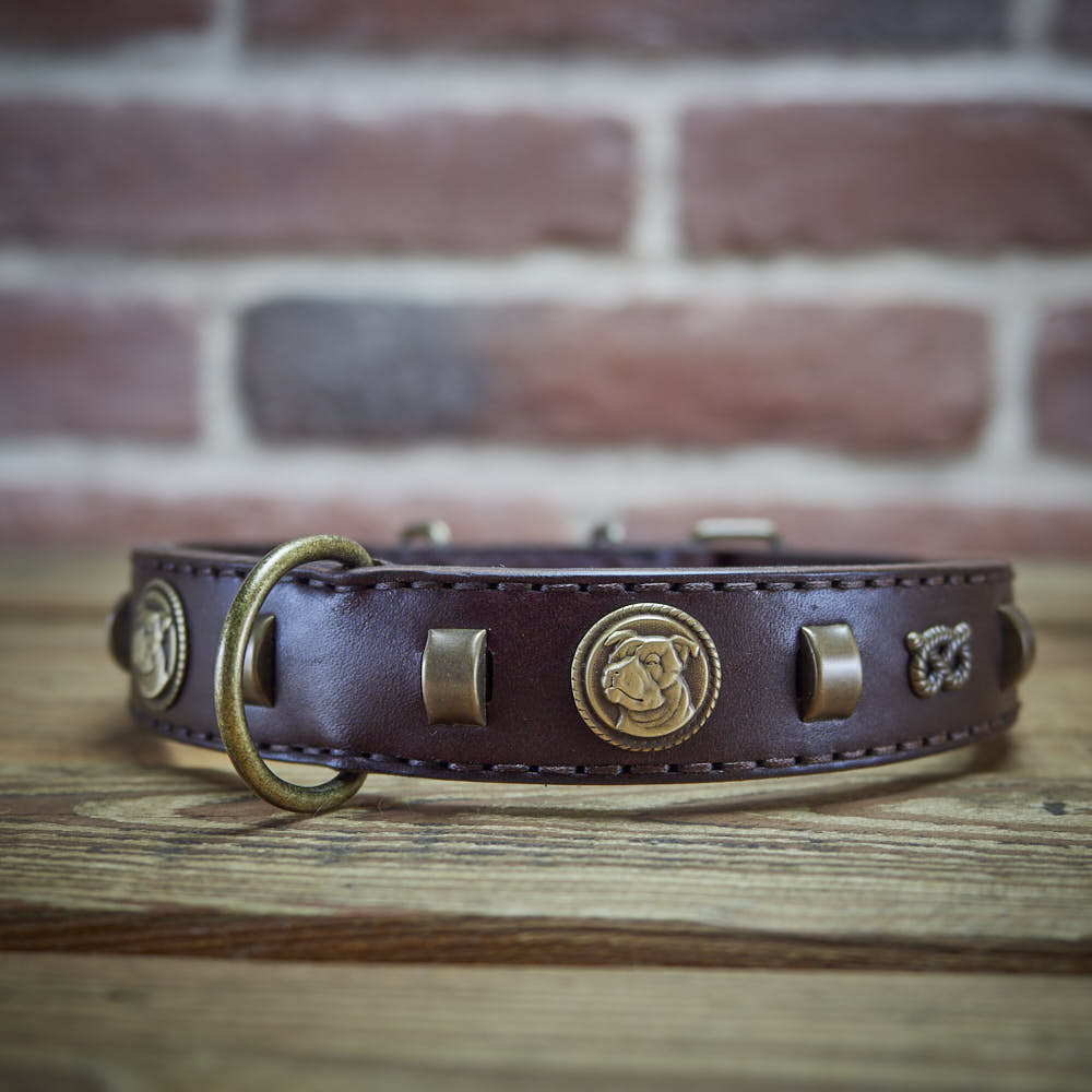 Vintage Paws Slade Czech Retrostyle dog collar.