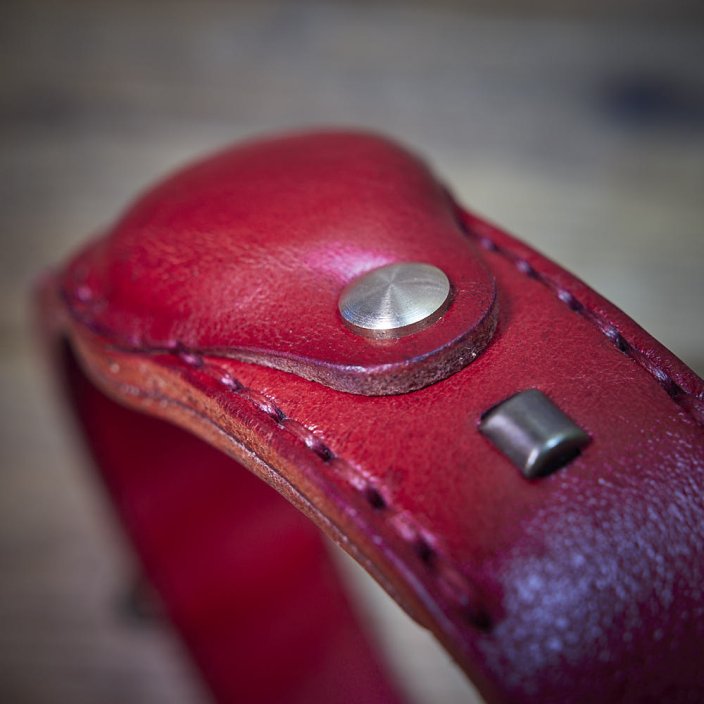 Classic Ghost Tracker Collar
