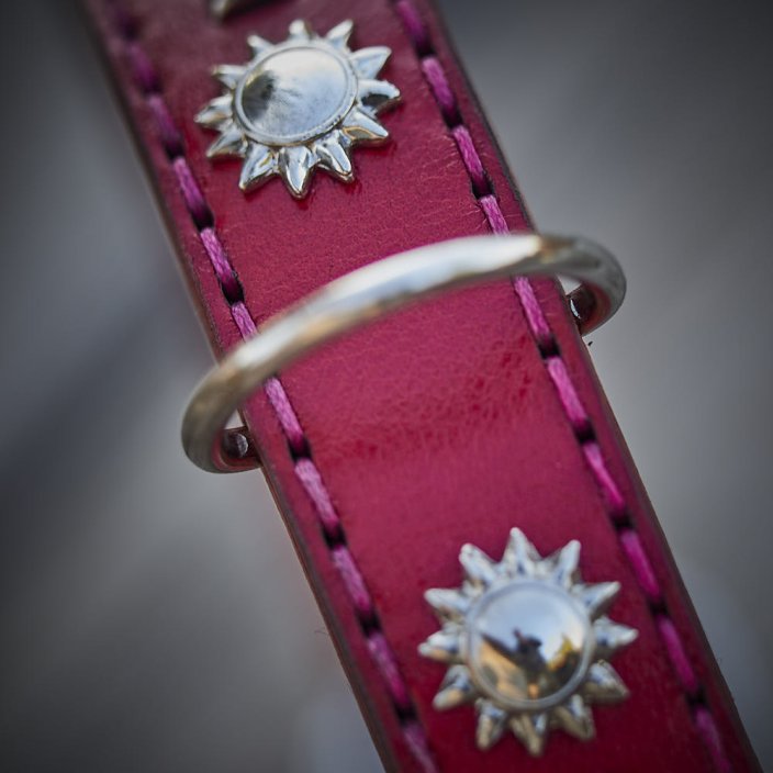 Devon Classic Collar