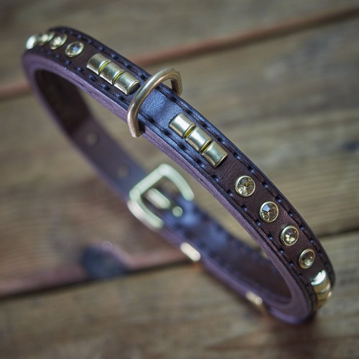Shiny Alpha Classic Collar