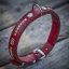 Devon Classic Collar