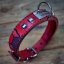 Frenchie Flair Collar Frenchie Flair Collar