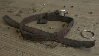 Collar Rescue Story Collar Rescue Story