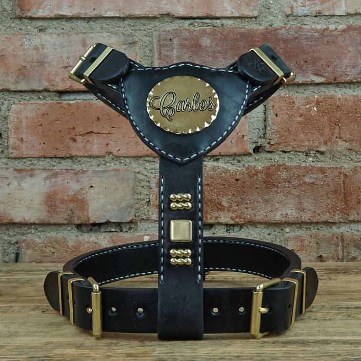 Gladiator Gladiator