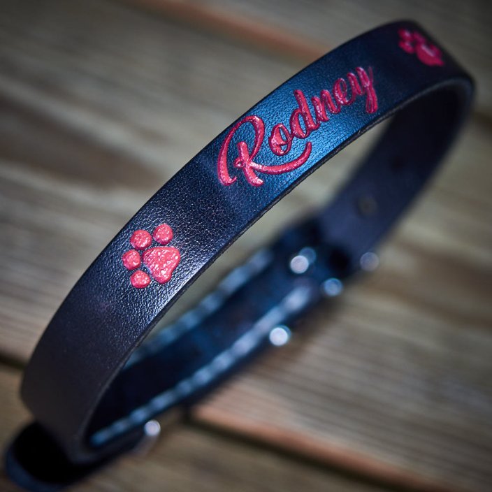 Baby Name Puppy Collar and Lead Set