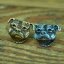 Staffordshire Bull Terrier clip Staffordshire Bull Terrier clip