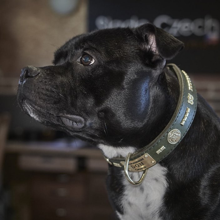 Wild Animal Classic Collar