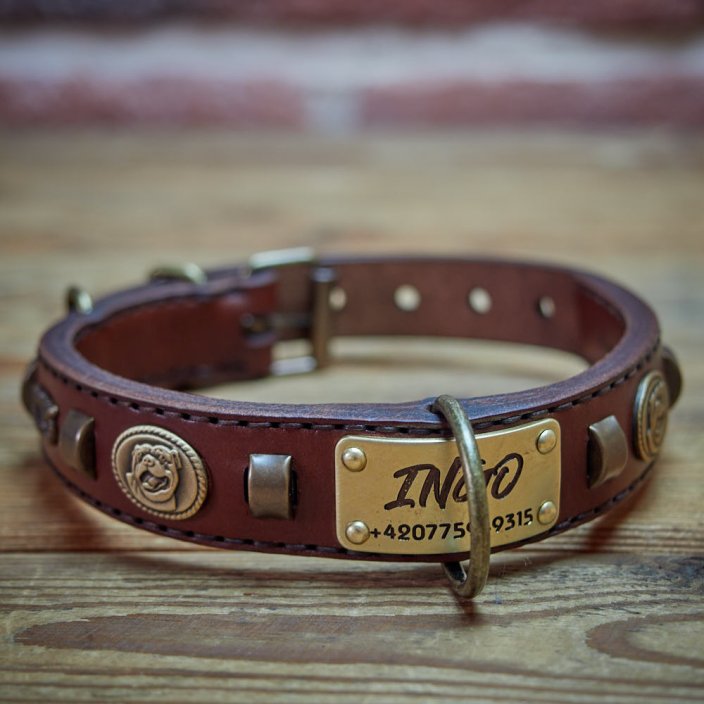 Renegade Classic Collar