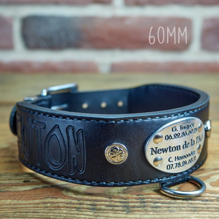 Major Stamp Classic Collar Major Stamp Classic Collar