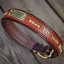 Funky Paws Classic Collar Funky Paws Classic Collar