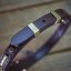 Shiny Alpha Classic Collar