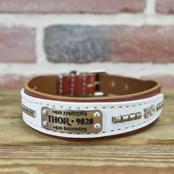 Funky Paws Classic Collar Funky Paws Classic Collar