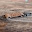 Crocodile's Mouth Keyring Crocodile's Mouth Keyring