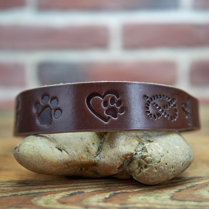 Coinage Collar Coinage Collar