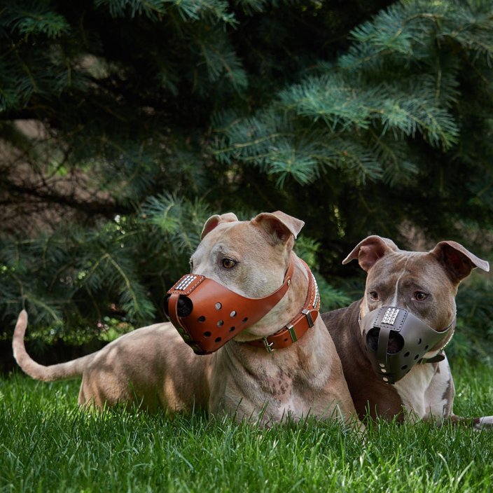 Whisper Muzzle
