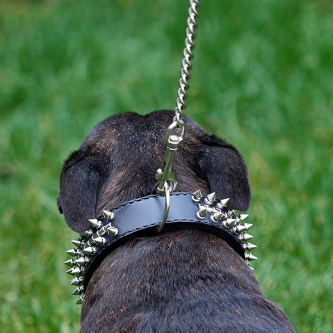 Which collar is best for a dog that pulls?