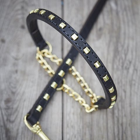 Pourquoi un collier mérite sa laisse assortie