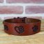Classic Custom Coinage Collar