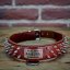 Hardcore Collar Hardcore Collar