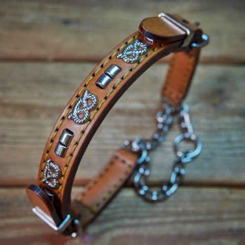 Tient bon, ne tourne pas, ne lâche pas : le collier pour Staffie sans point faible