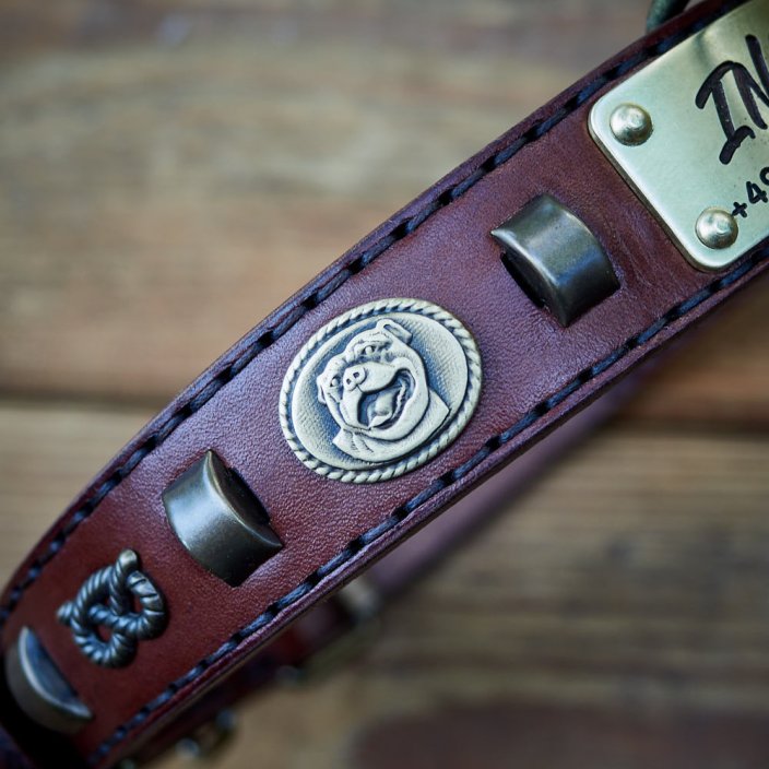 Renegade Classic Collar