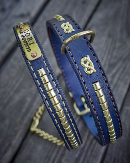 Buckle Collar vs. Half-Check: Which One Does Your Dog Need? Buckle Collar vs. Half-Check: Which One Does Your Dog Need?
