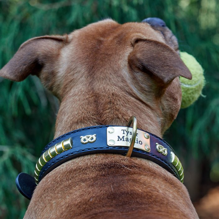 Basco Classic Collar