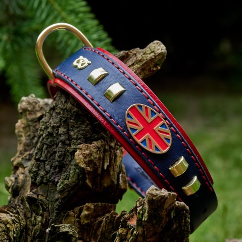 Double-Layer Leather Collar for Strong Staffordshire Bull Terriers