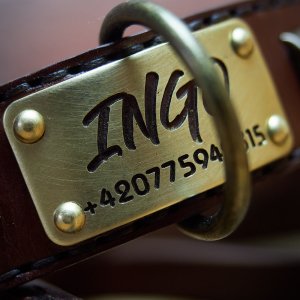 Engraved Dog Tags & Tough Leather Collars
