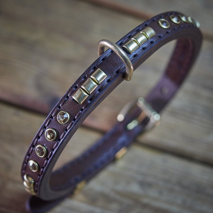 Shiny Alpha Classic Collar