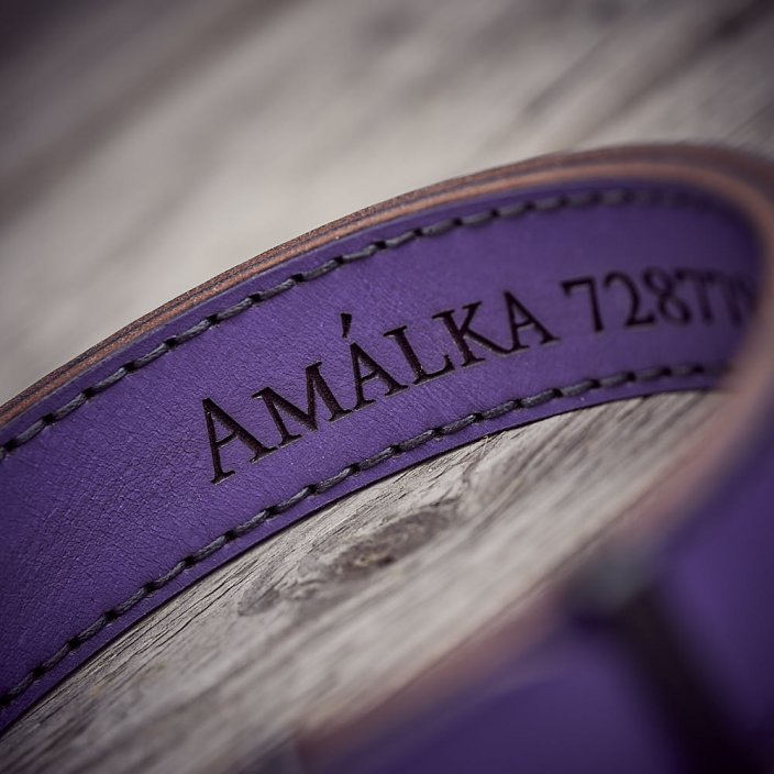 Classic Viking collar