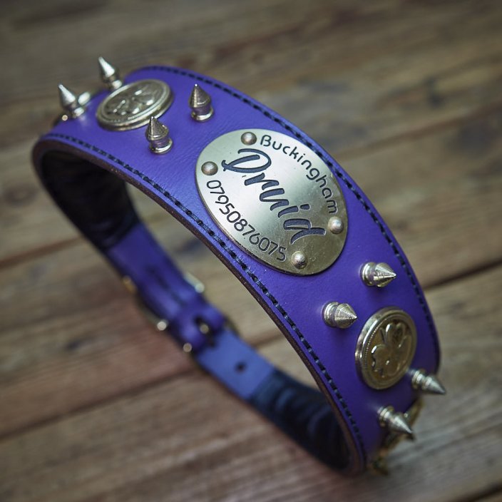 Greyhounds collar Noble Mod Greyhounds collar Noble Mod