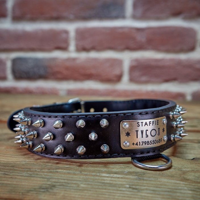 Hardcore Collar Hardcore Collar