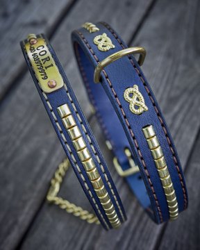Classic Collar vs Half-Check Collar: Which One Does Your Dog Need?