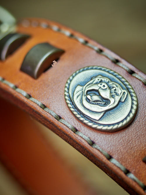 Comment repérer un vrai collier en cuir