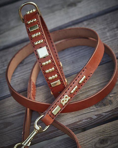 Pourquoi un collier mérite sa laisse assortie