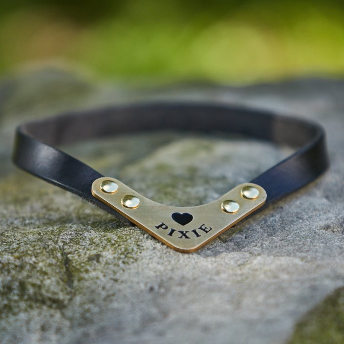 Victory Dog Tag Victory Dog Tag
