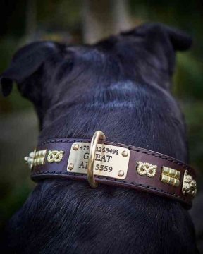 Collier large, cou protégé