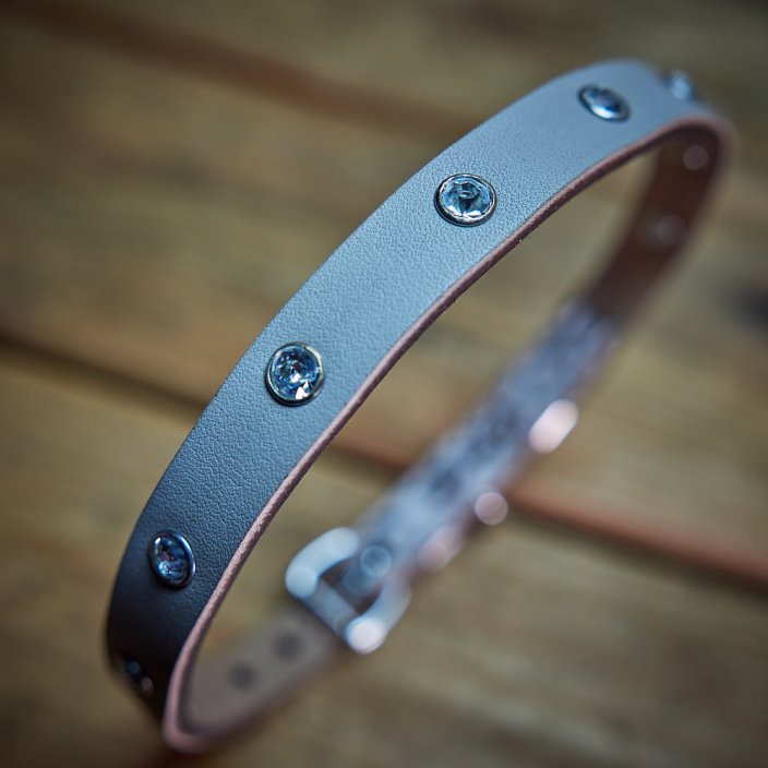 Collar and leash set Spark Band
