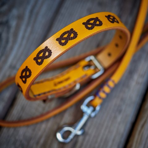 Collier Chiot