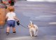 Enfant et chien à la maison : des règles sûres, pas des contes de fées
