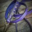 Beans lead for Staffies | Slade Czech Beans lead for Staffies | Slade Czech