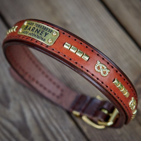 Funky Paws collar