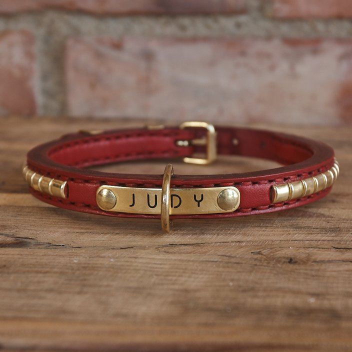 Long Ride Classic Collar