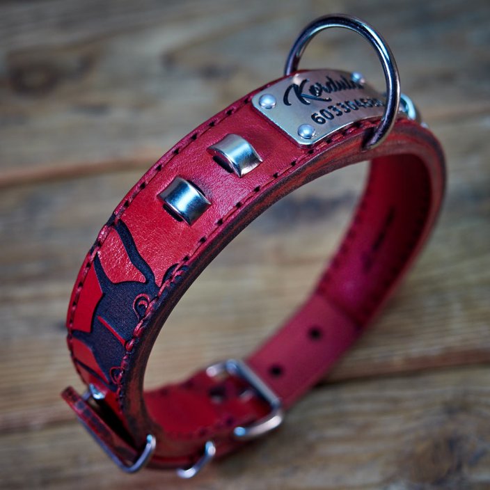 Frenchie Flair Collar Frenchie Flair Collar