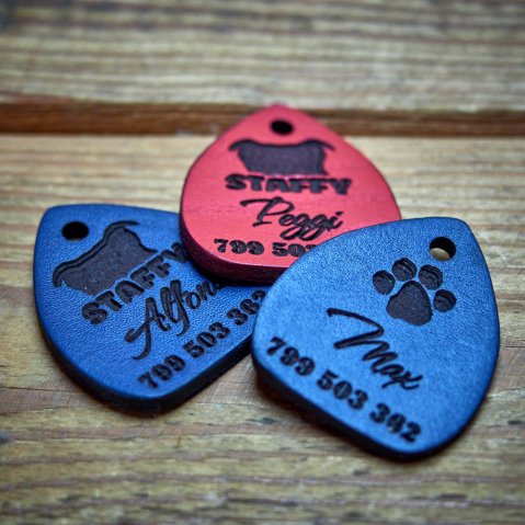 5 reasons why your dog needs a tag—even with a microchip