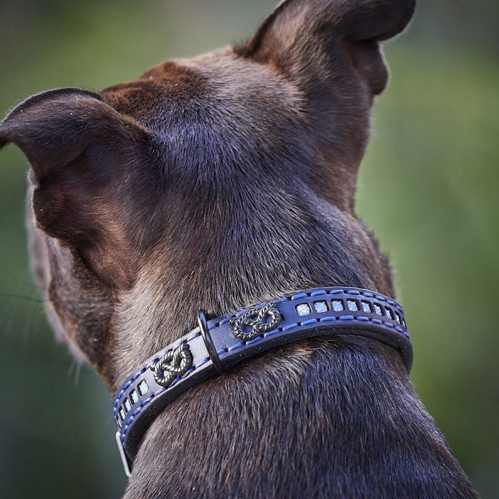 Classic Swarovski Staffy Collar Classic Swarovski Staffy Collar