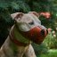 Whisper Muzzle