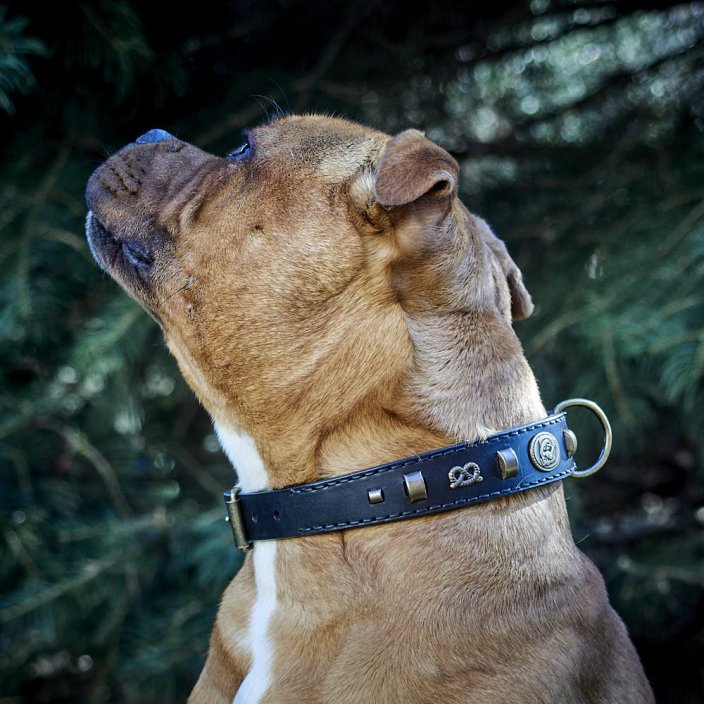Vintage Paws Slade Czech Collar