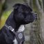 My Hero Harness My Hero Harness